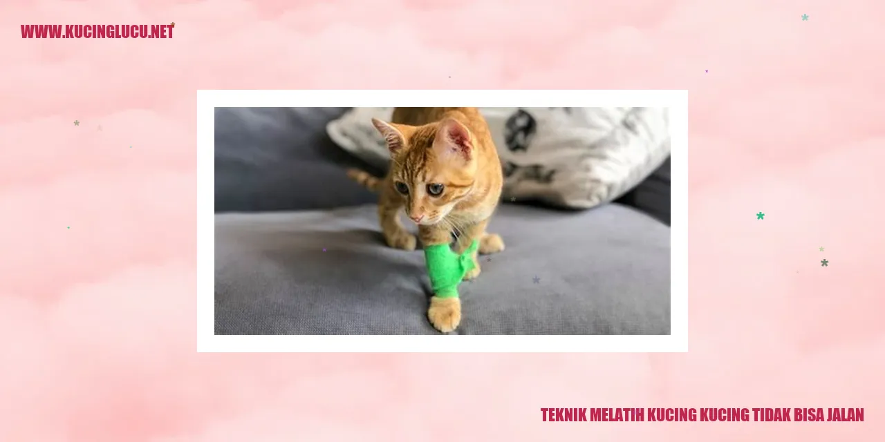 Teknik Pelatihan untuk Kucing yang Mengalami Hambatan dalam Berjalan