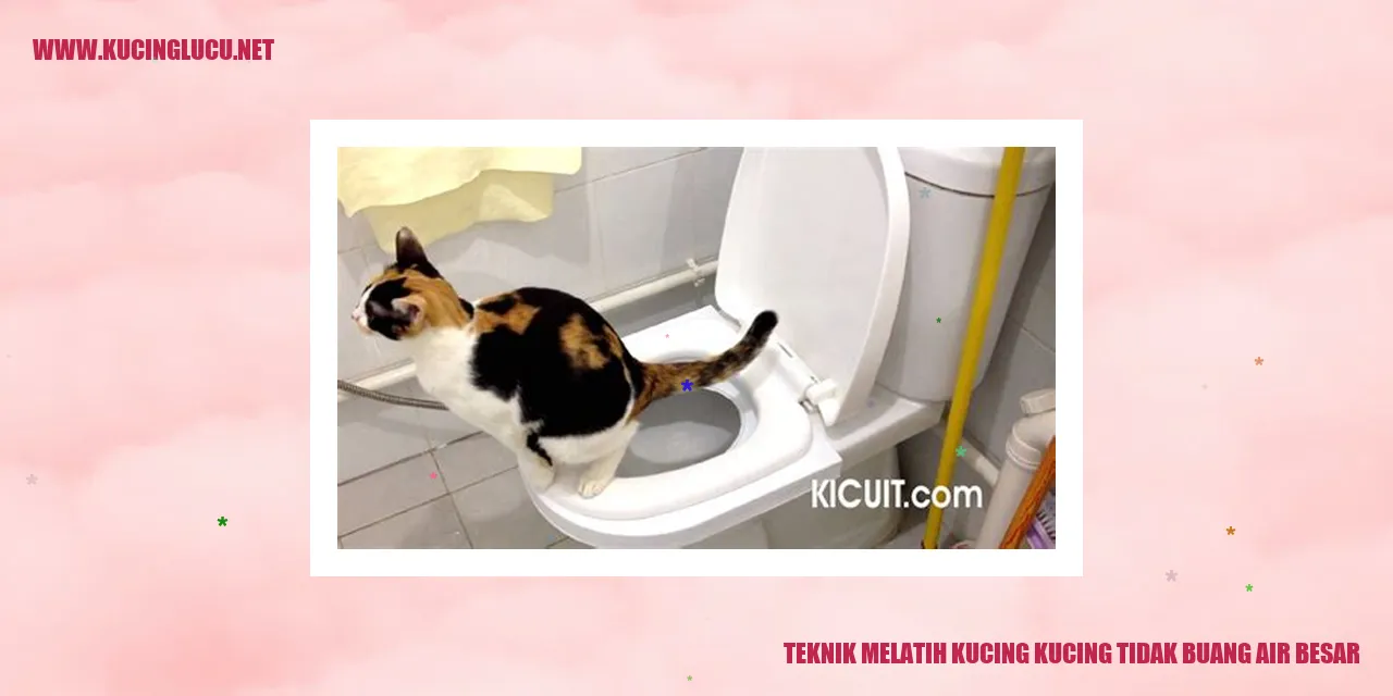 Teknik Melatih Kucing