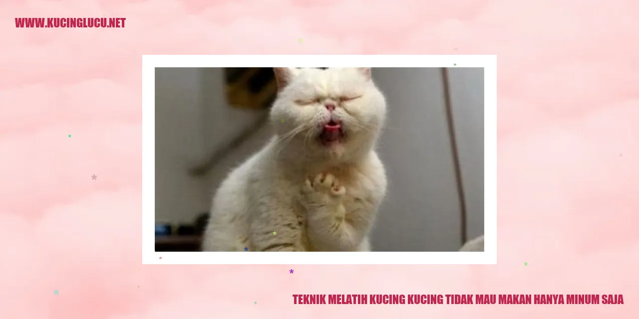 Gambar kucing sedang makan