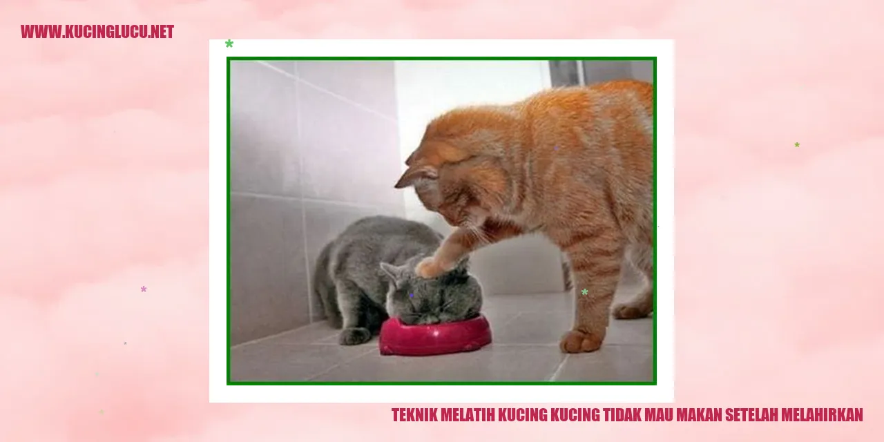 Tips Membujuk Kucing yang Ogah Makan Setelah Melahirkan