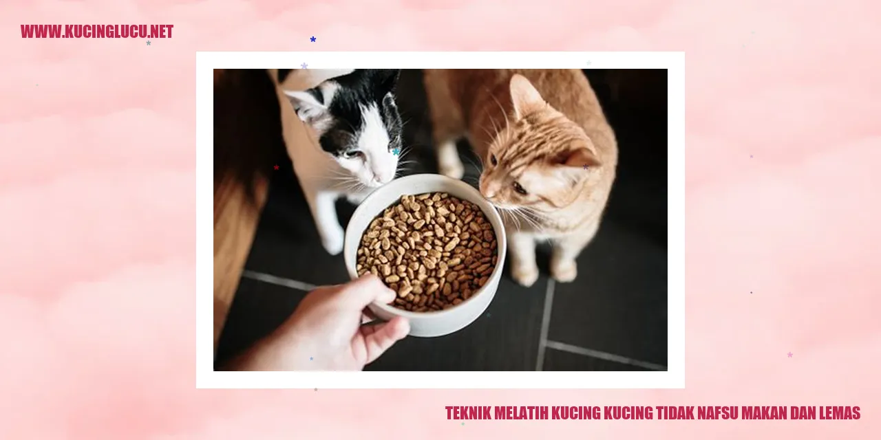 Gambar Kucing yang tidak nafsu makan dan lemas