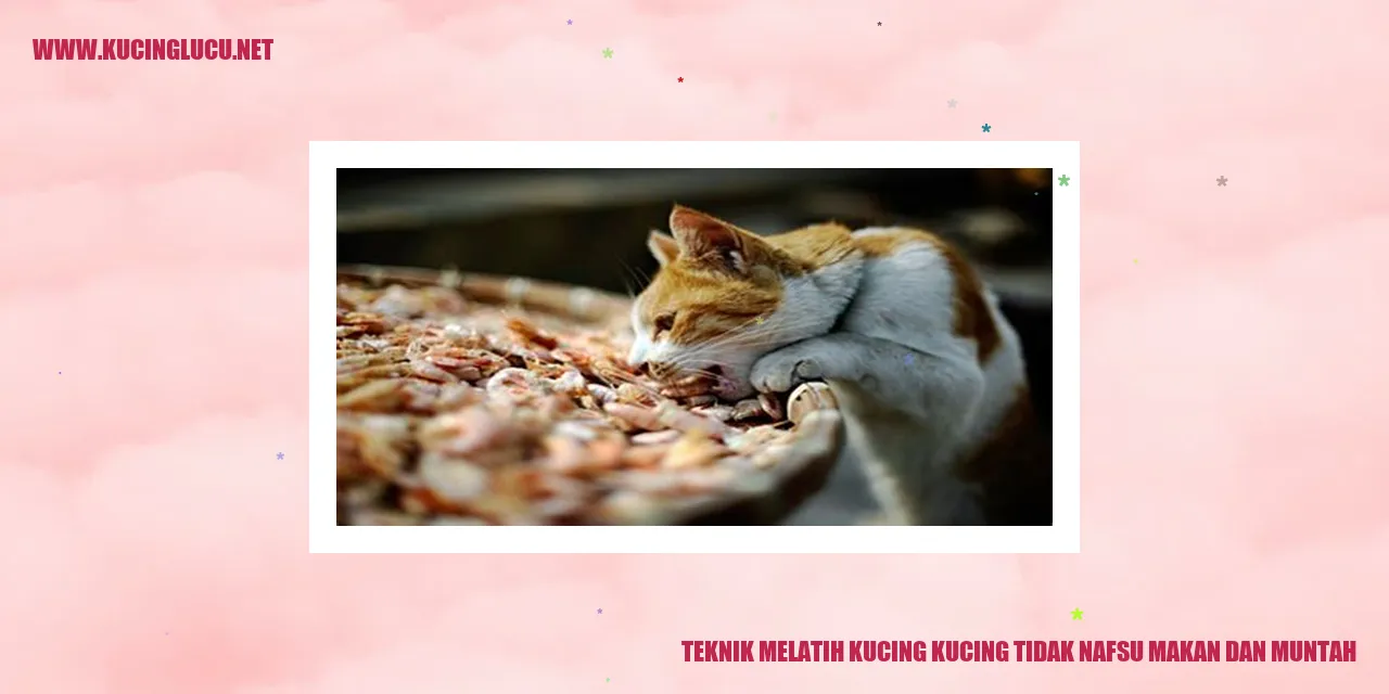 Gambar kucing yang lucu