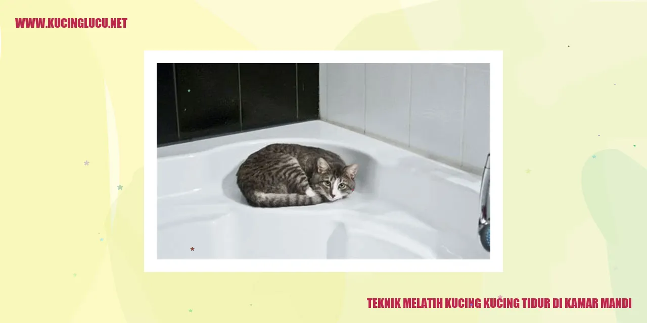 Kucing tidur di kamar mandi