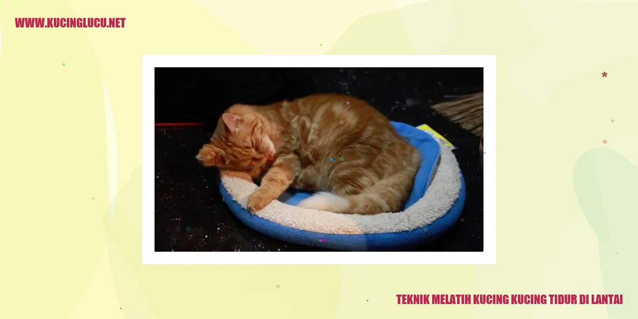 Gambar Kucing Tidur di Lantai
