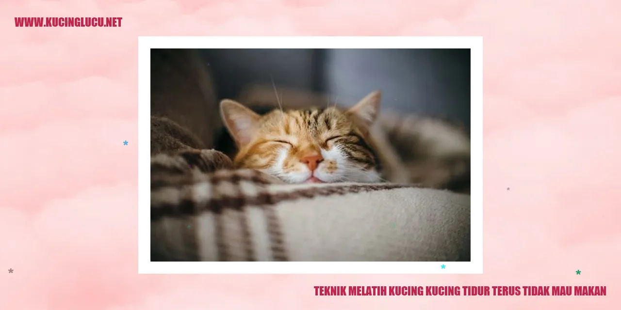Kucing Tidur