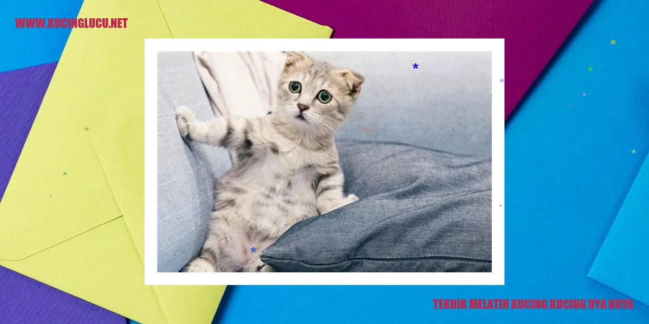 Gambar Kucing