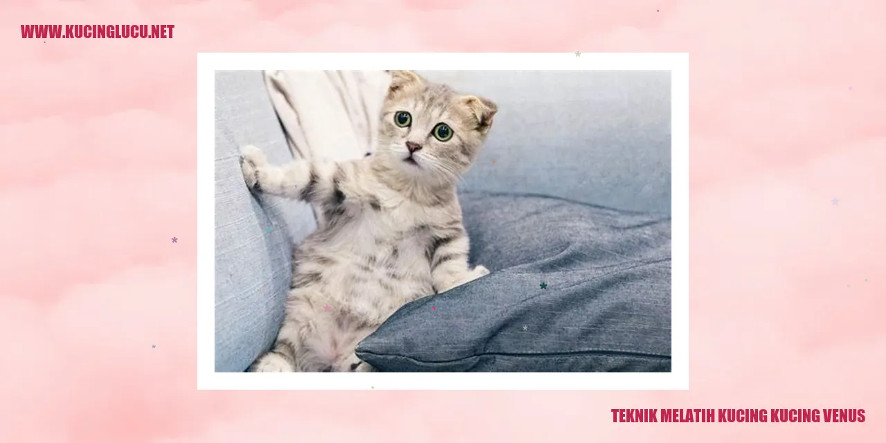 Gambar Kucing Venus