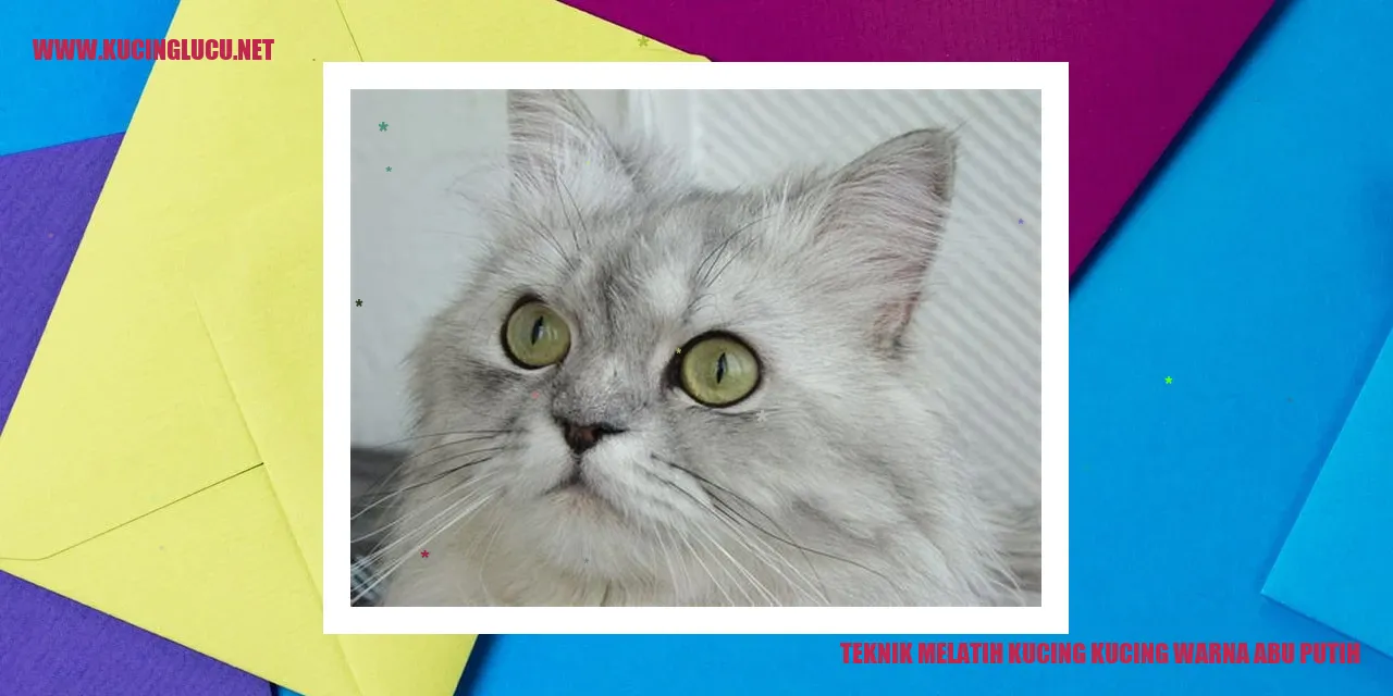 Kucing Warna Abu Putih
