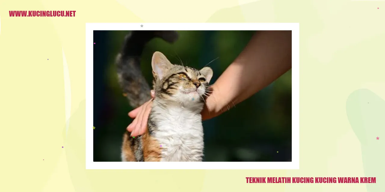 Kucing dengan warna krem