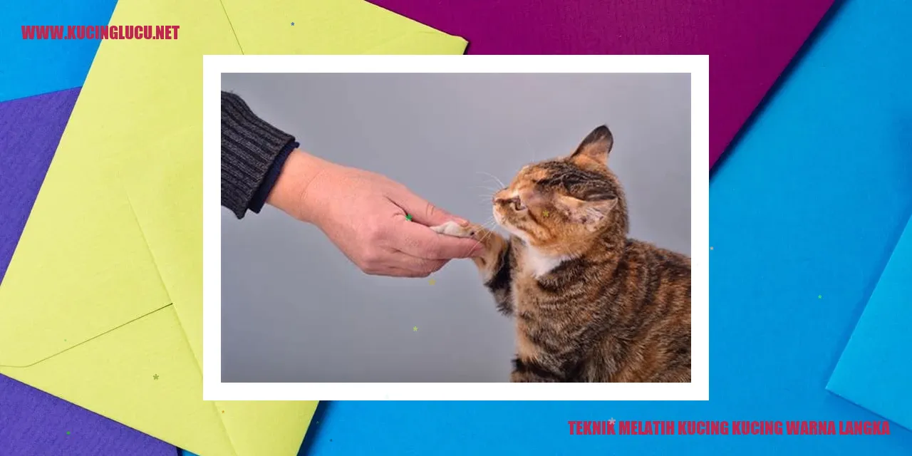 kucing warna langka
