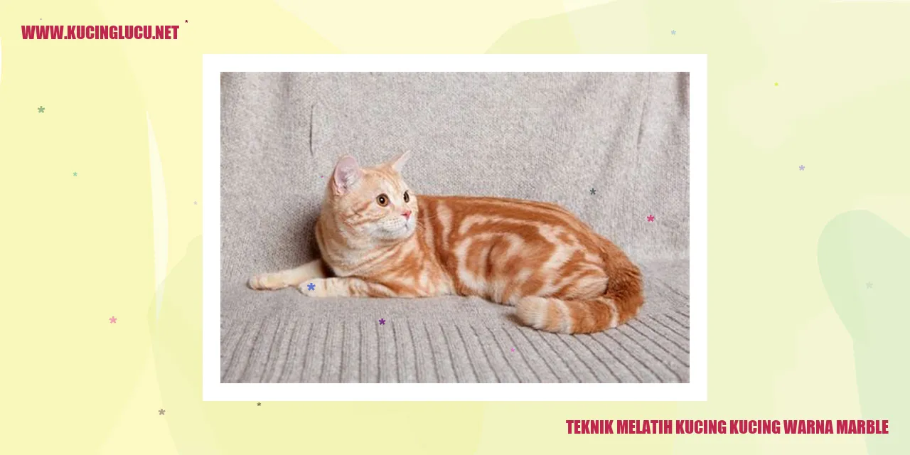 Kucing Berwarna Marble