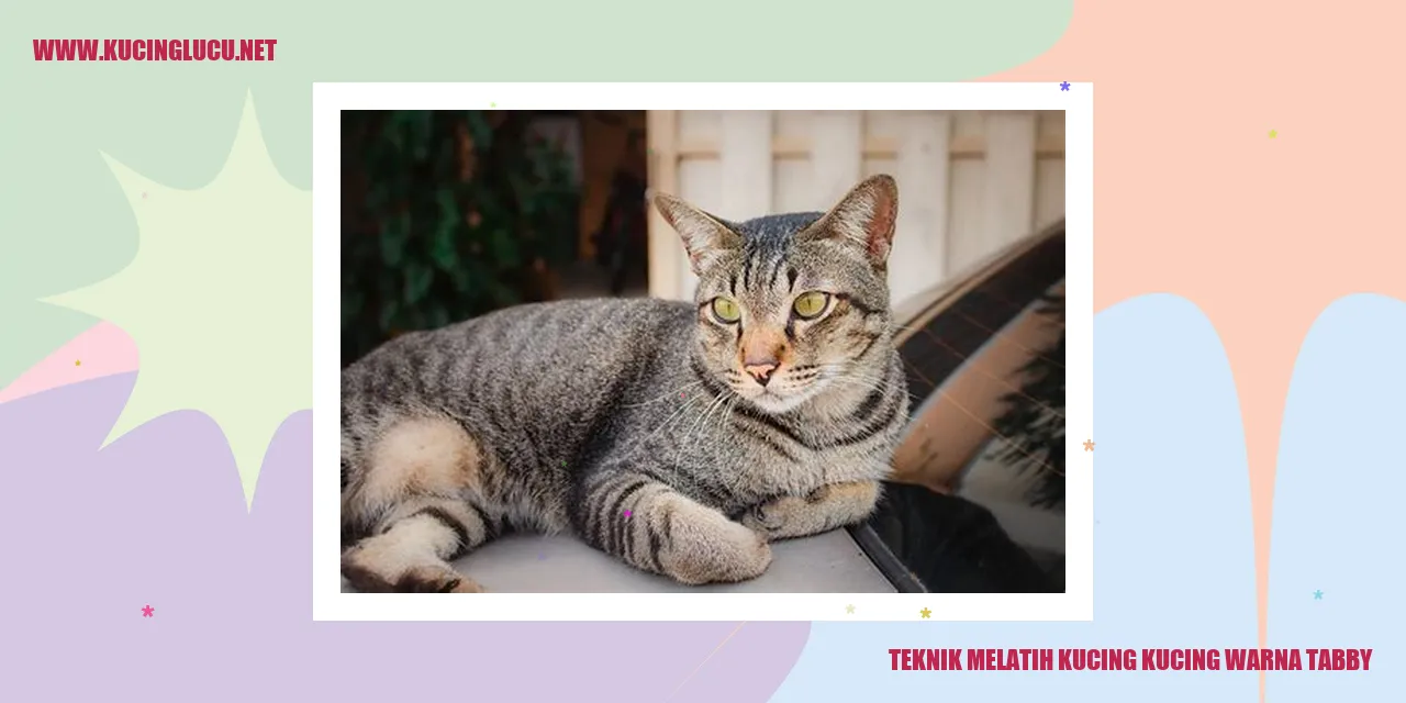 Gambar kucing berwarna tabby