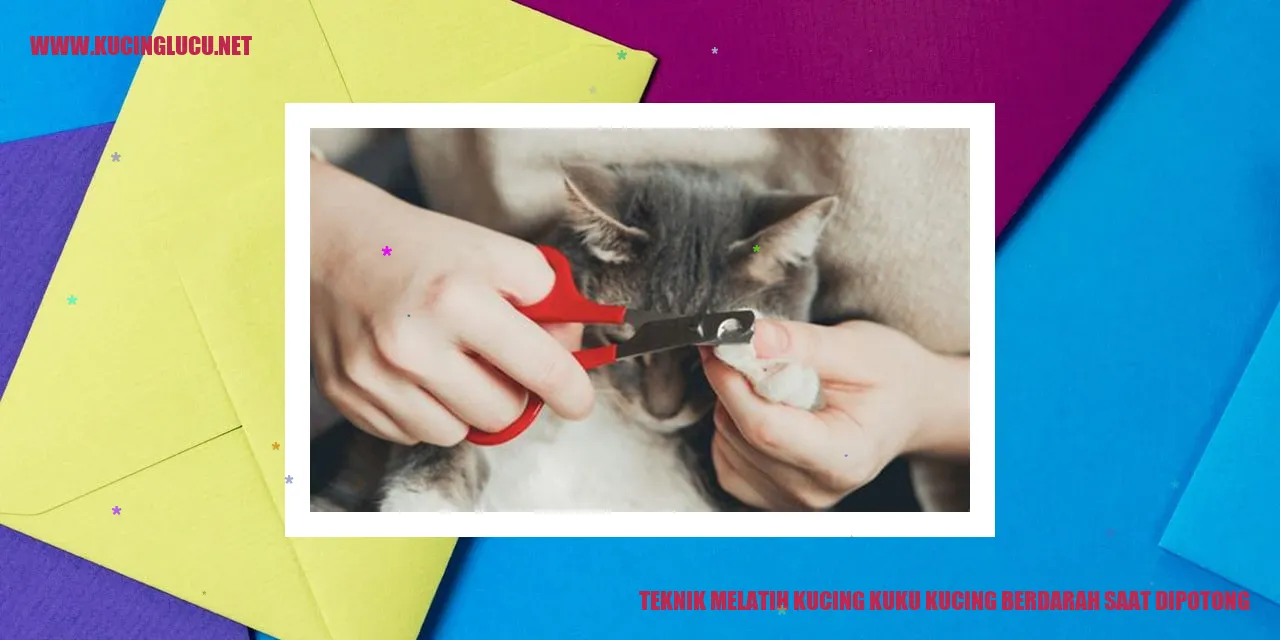 Melatih kucing agar kuku tidak berdarah saat dipotong