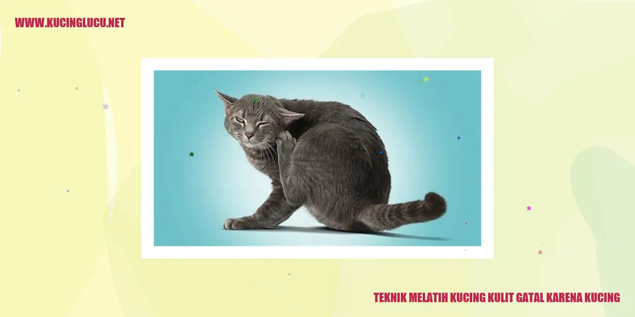 gambar kucing gatal