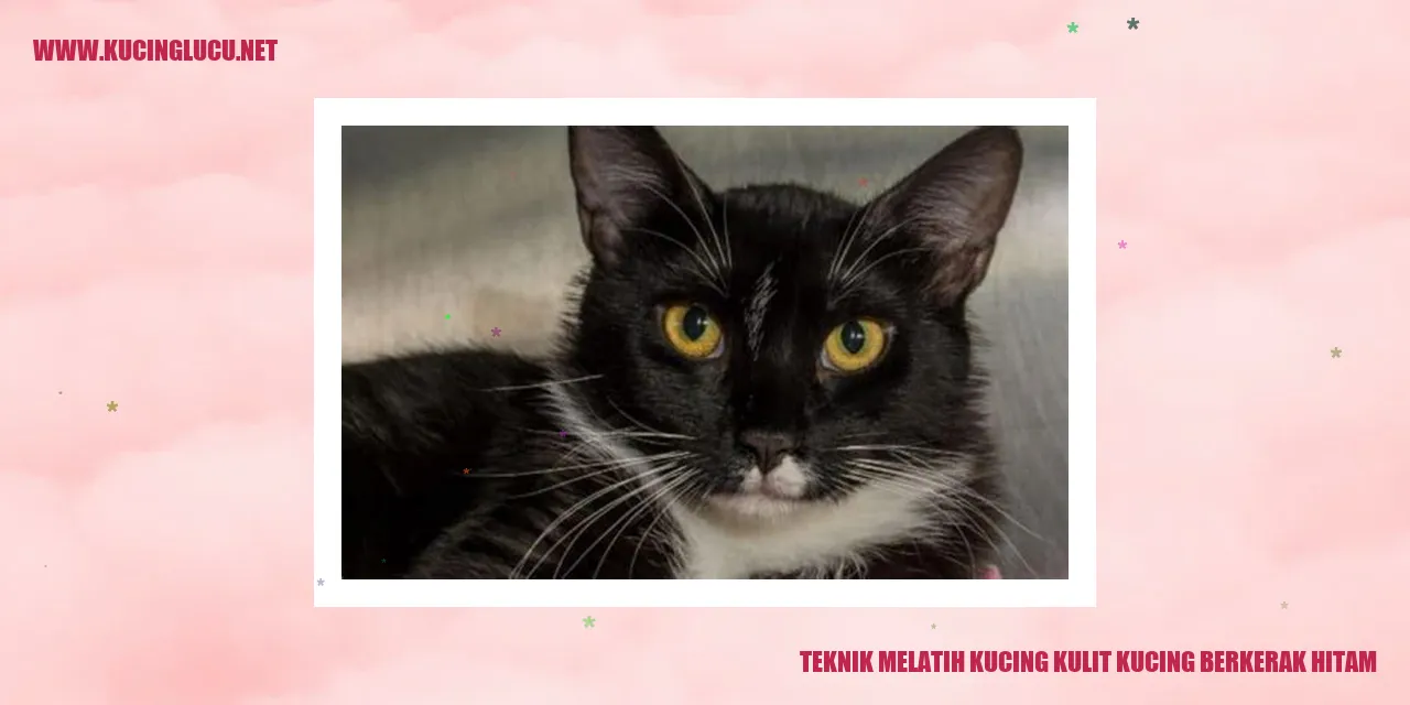 Kucing dengan Kulit Berkerak Hitam