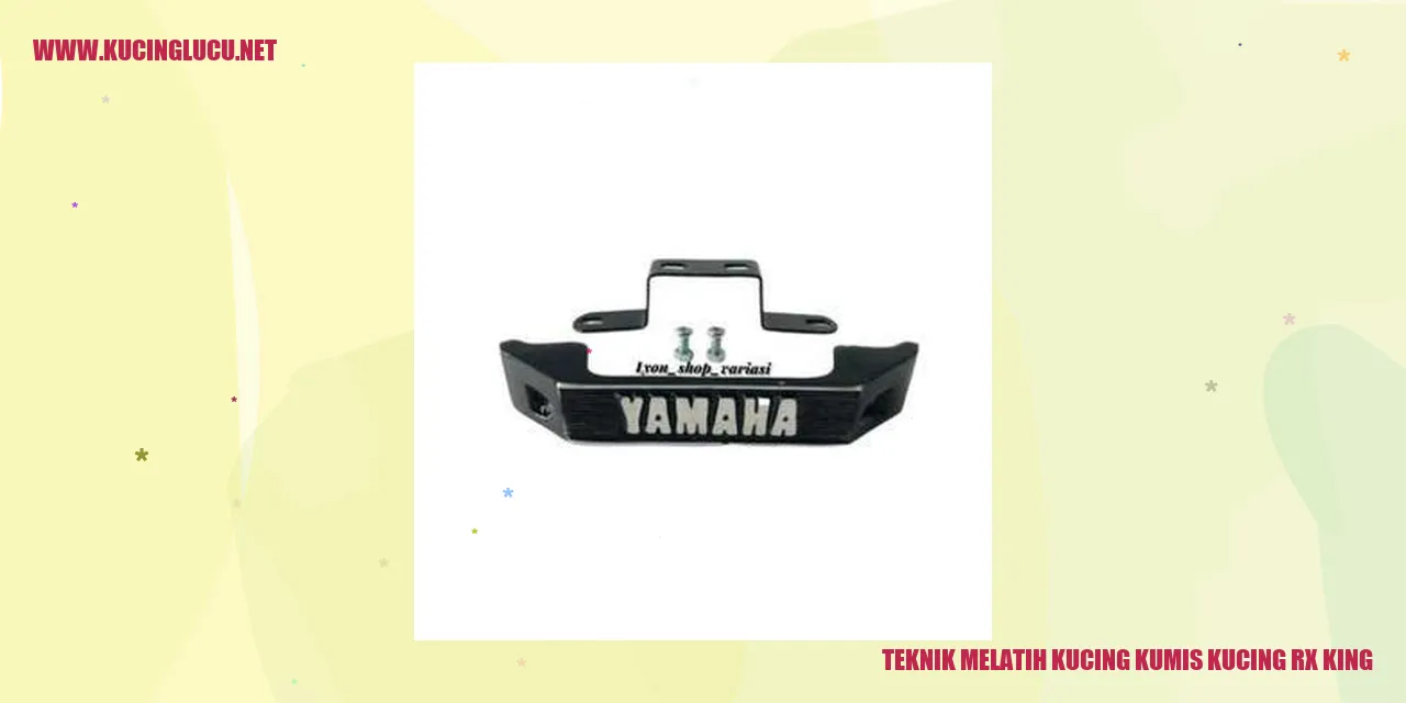 Gambar Menarik Kucing RX King dengan Kumis Kucing