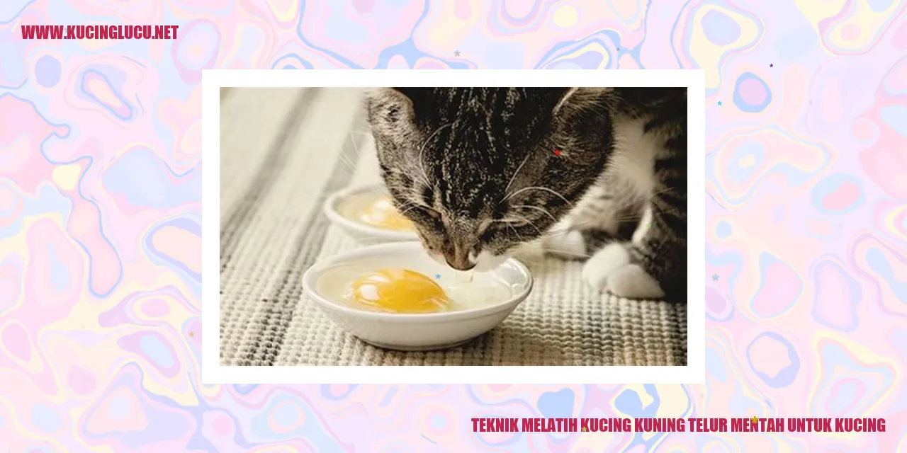 Kucing kuning telur mentah