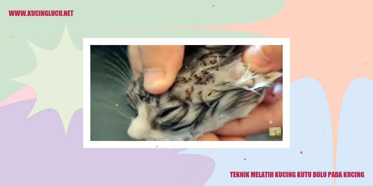 Teknik Melatih Kucing Kutu Bulu Pada Kucing