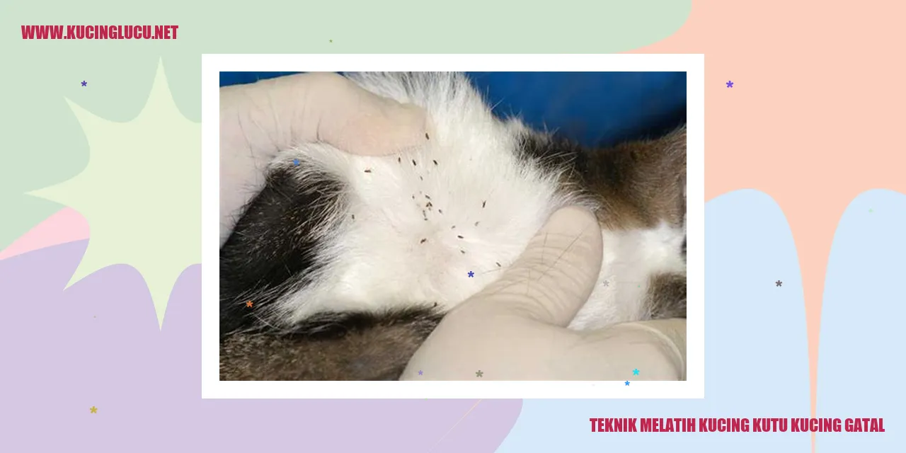 Gambar Kucing yang Menggaruk Dirinya