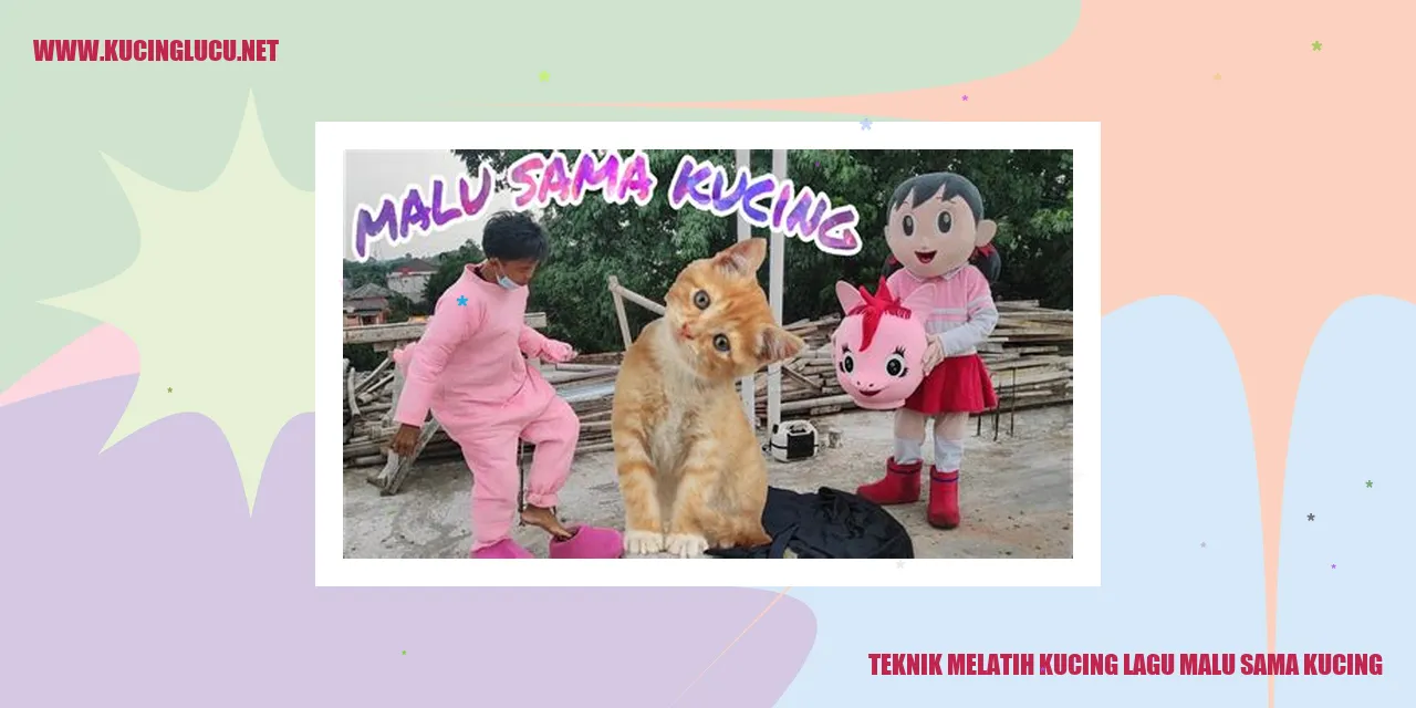 Teknik Melatih Kucing Lagu Malu Sama Kucing