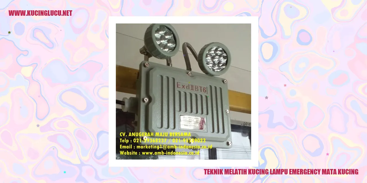 Teknik Melatih Kucing lampu emergency mata kucing
