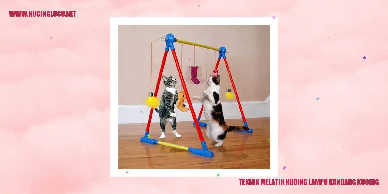 Kucing lampu kandang kucing