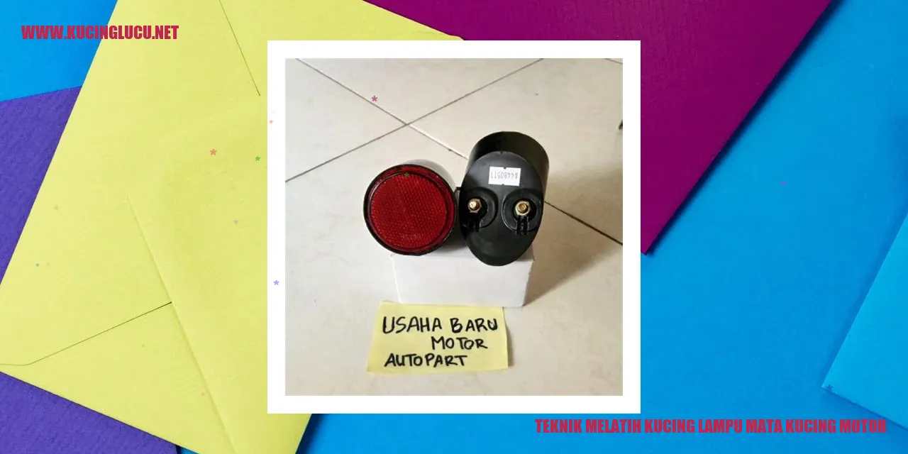 Gambar Kucing Motor