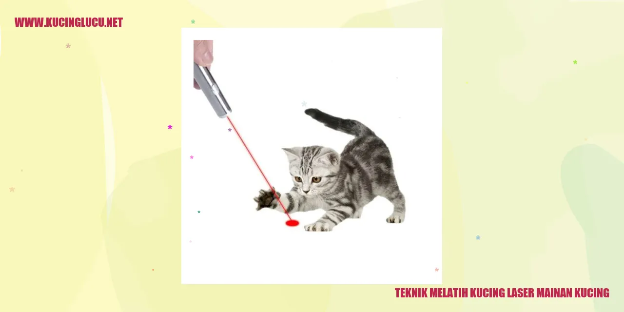 Kucing bermain dengan mainan laser