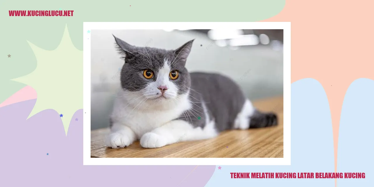 Teknik Melatih Kucing