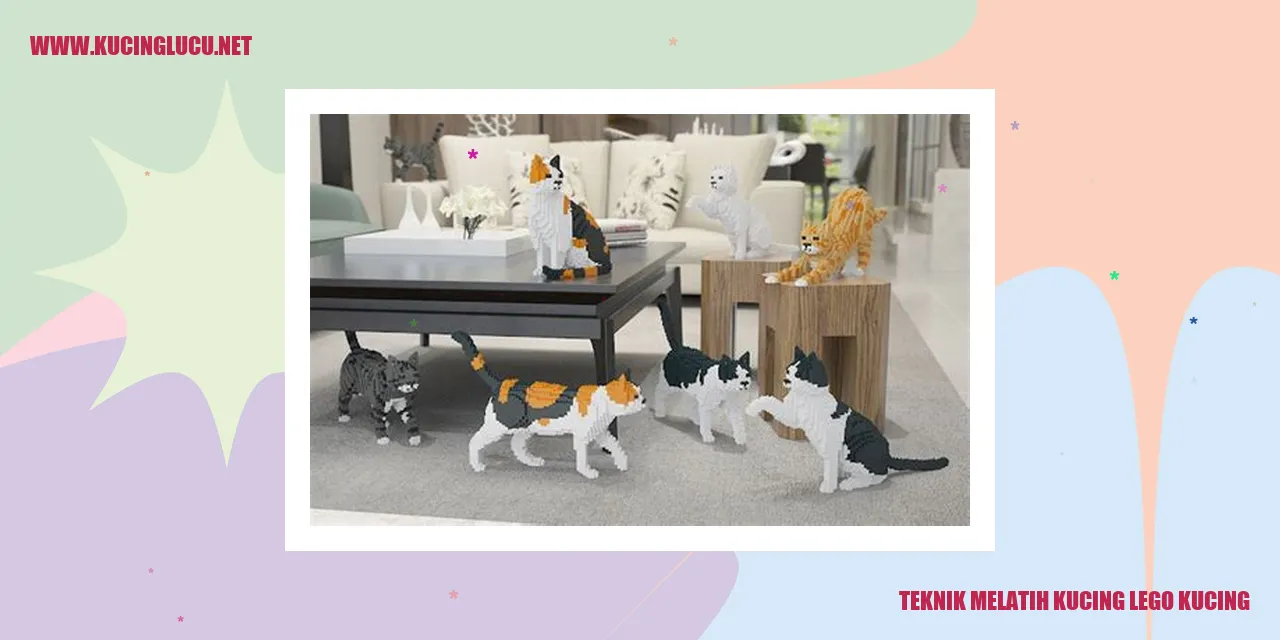 Kucing yang sedang dilatih