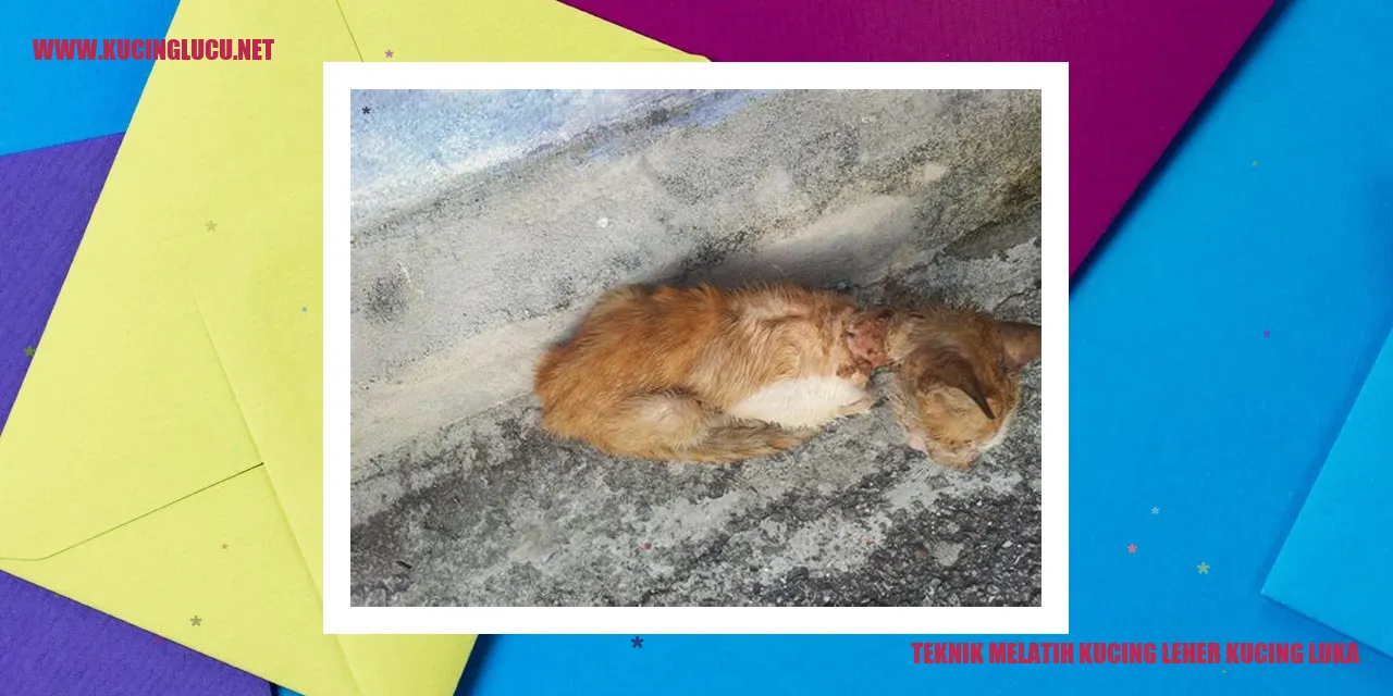 Teknik Melatih Kucing leher kucing luka