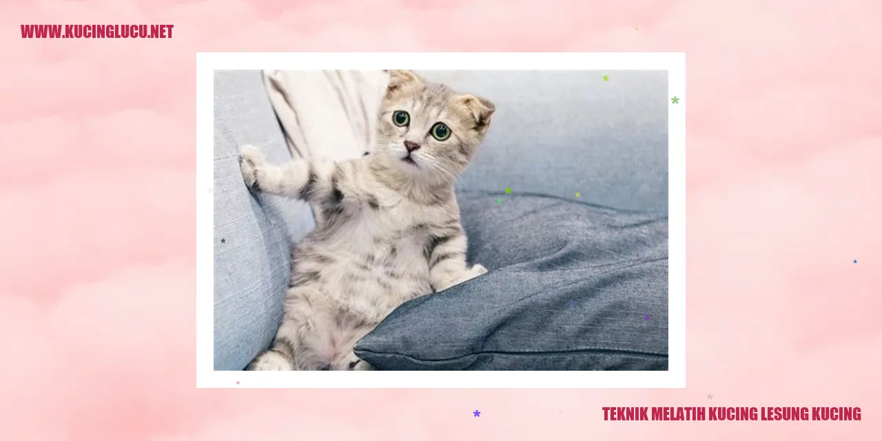 Gambar Kucing Lesung Kucing