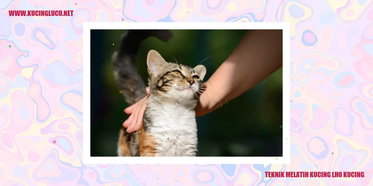 Kucing sedang diajar