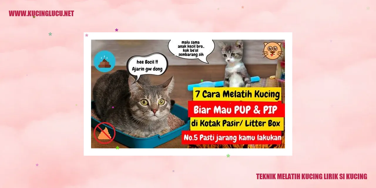 Foto kucing