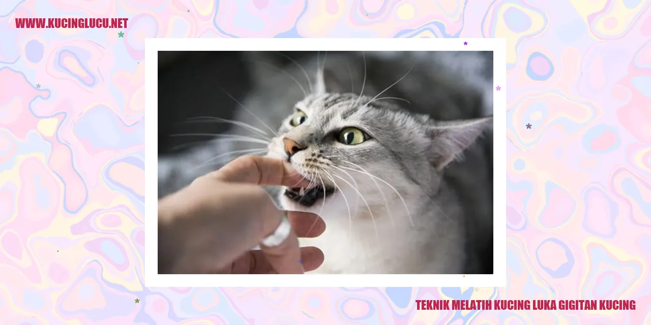 Teknik Melatih Kucing luka gigitan kucing