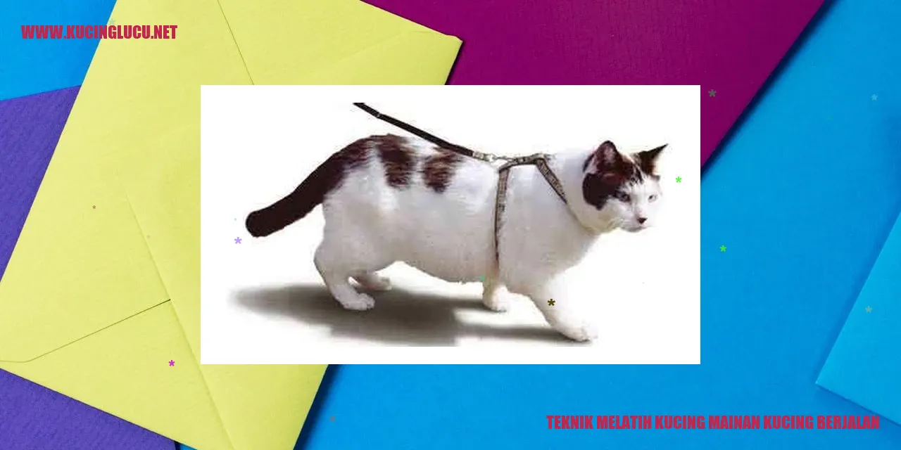 Kucing berjalan