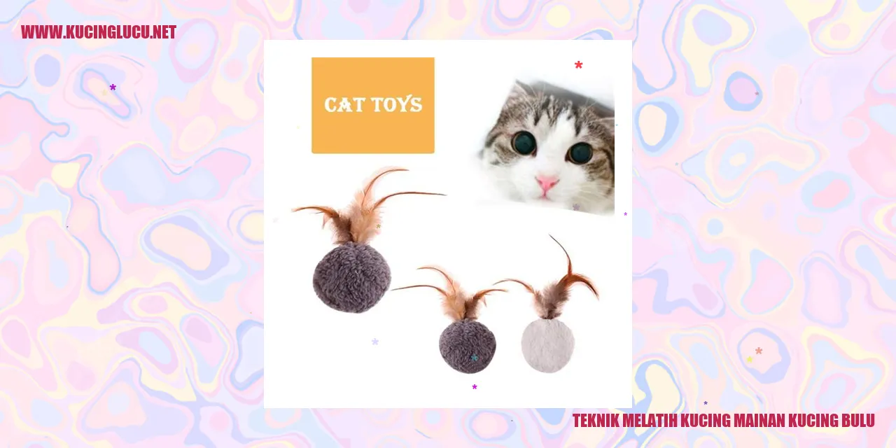 Gambar melatih kucing