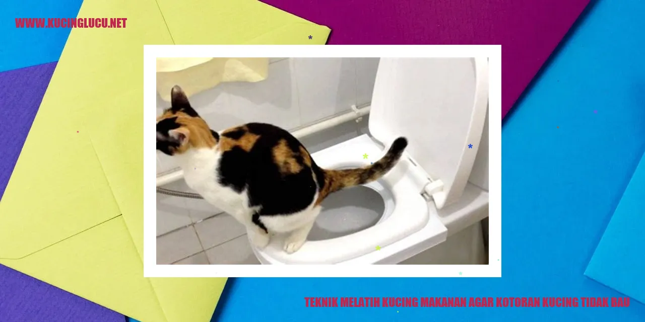 Gambar Kucing