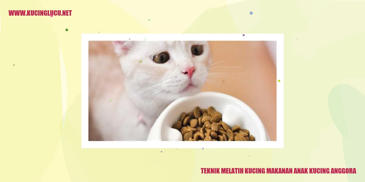Teknik Melatih Kucing Makanan Anak Kucing Anggora
