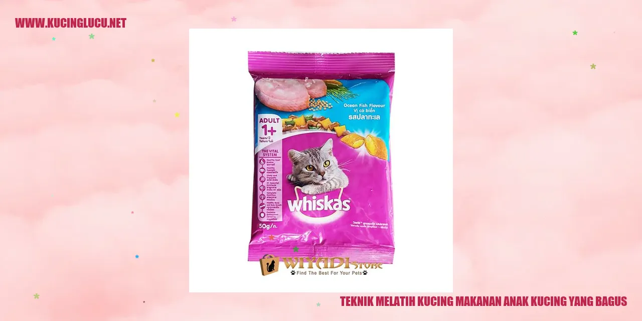 Gambar kucing makanan anak kucing yang bagus