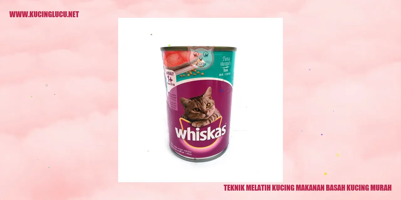 Gambar Kucing Menikmati Makanan Basah