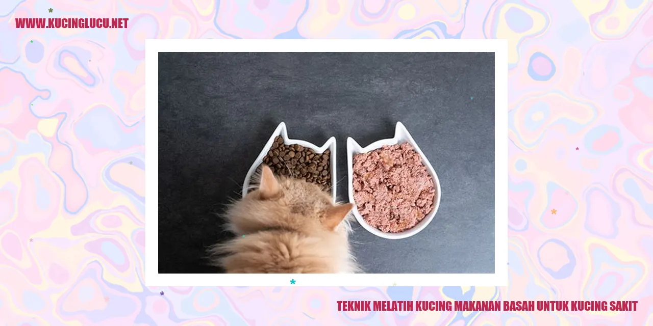 Teknik Melatih Kucing makanan basah untuk kucing sakit