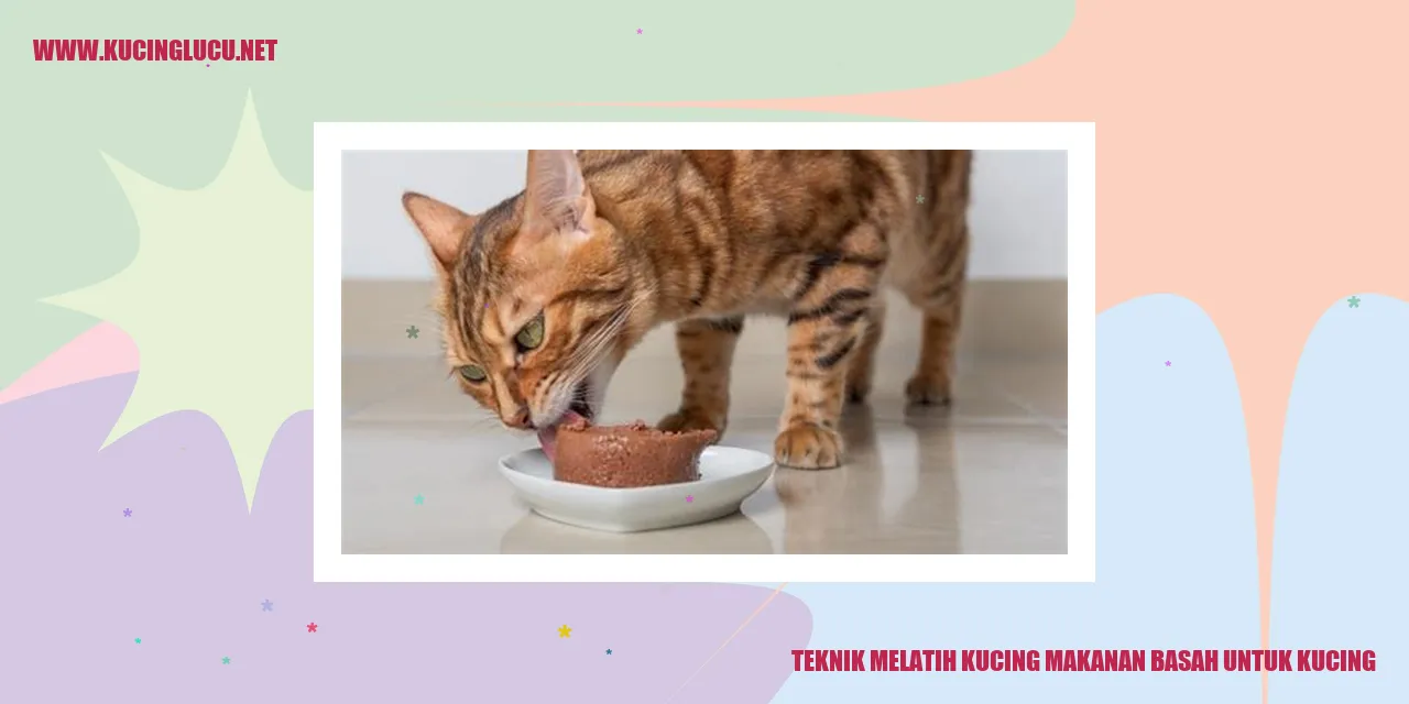 Teknik Melatih Kucing makanan basah untuk kucing