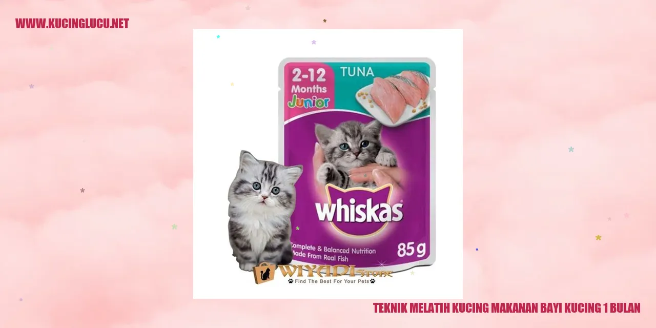 Teknik Melatih Kucing Makanan Bayi Kucing 1 Bulan