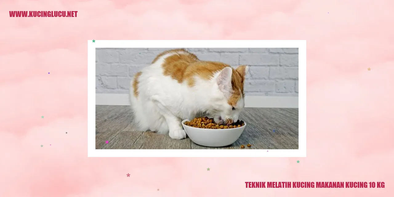 Teknik Melatih Kucing
