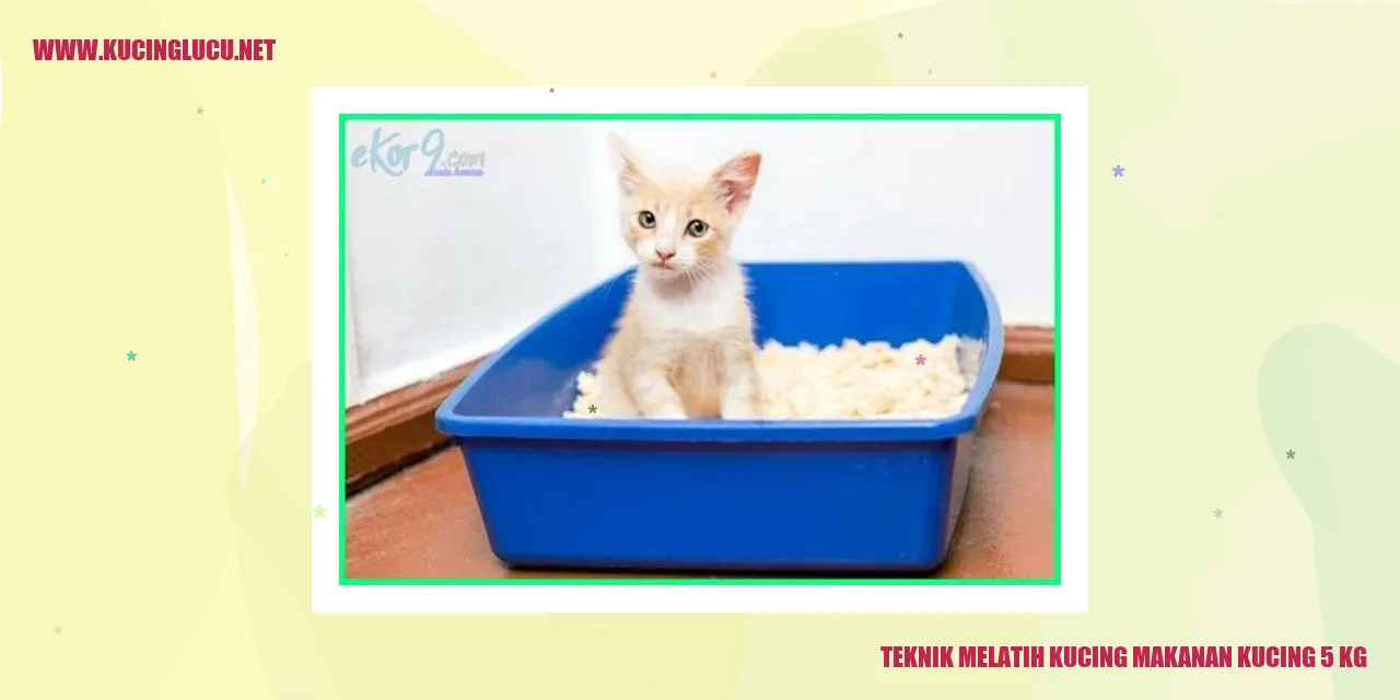 Teknik Melatih Kucing makanan kucing 5 kg
