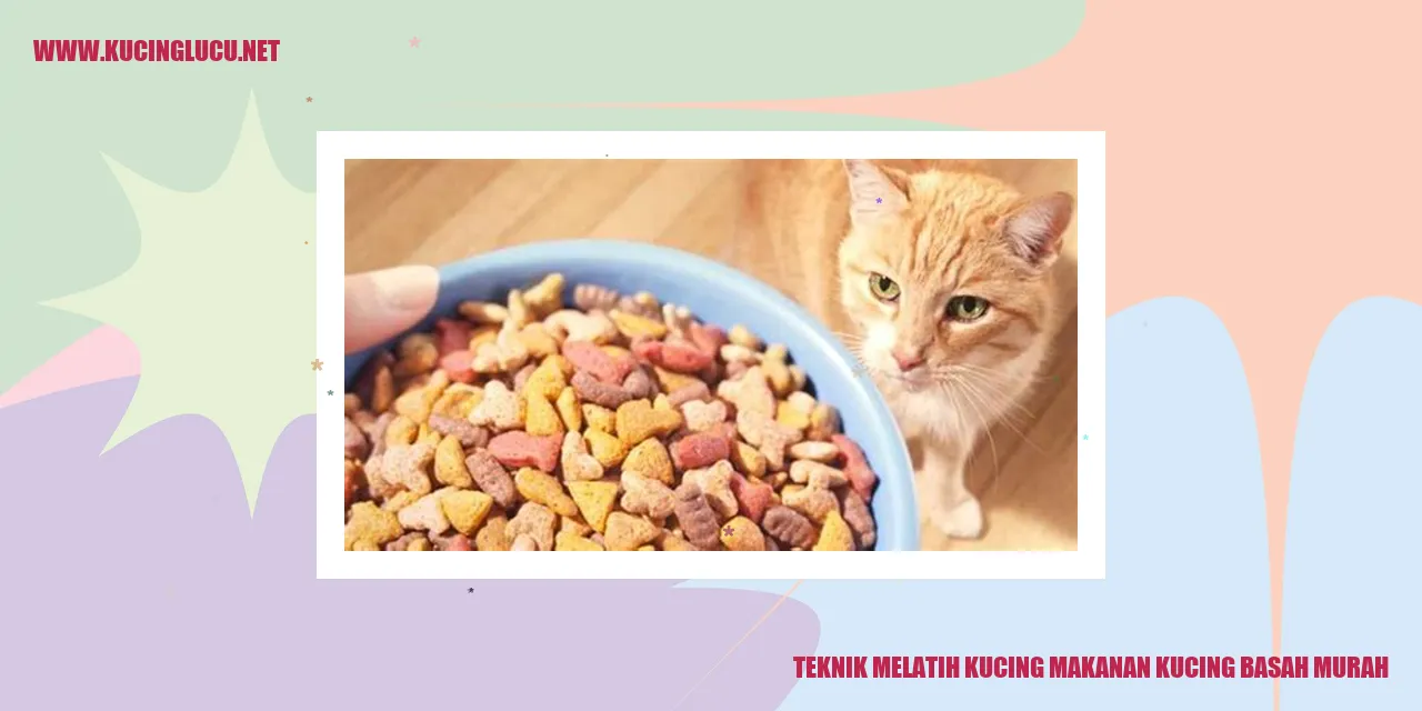 Seekor kucing menikmati makanan basah