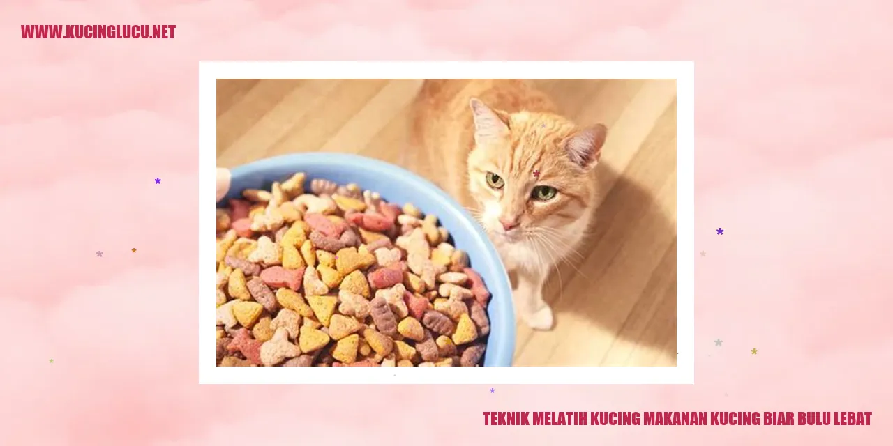 Gambar kucing dengan bulu lebat