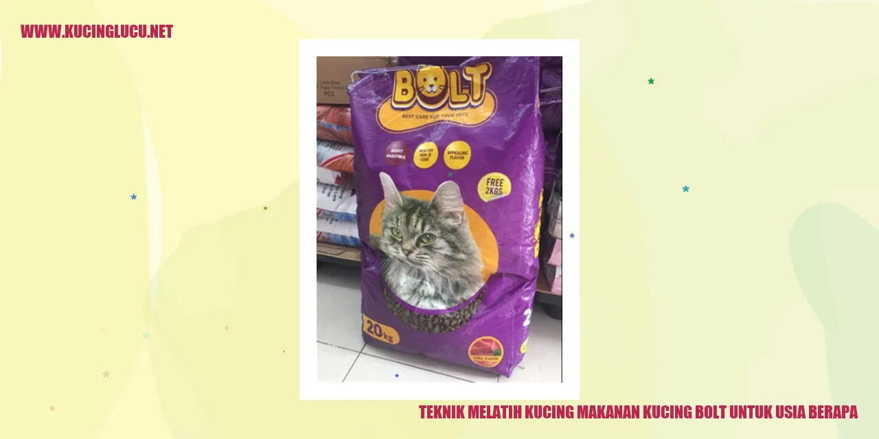 Teknik Melatih Kucing makanan kucing bolt untuk usia berapa