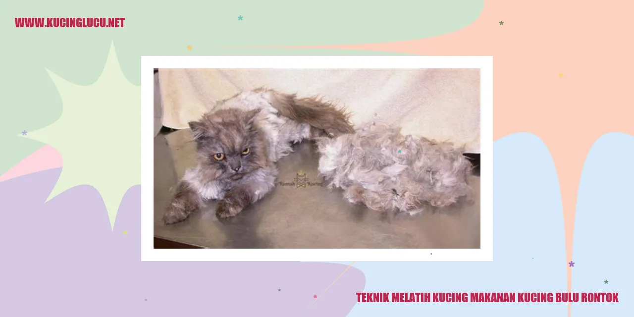 Kucing dengan bulu rontok